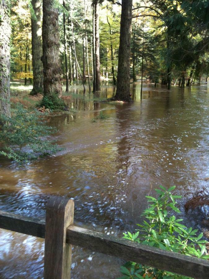 4 Lyndhurst Rd Brockenhurst Exteriör bild