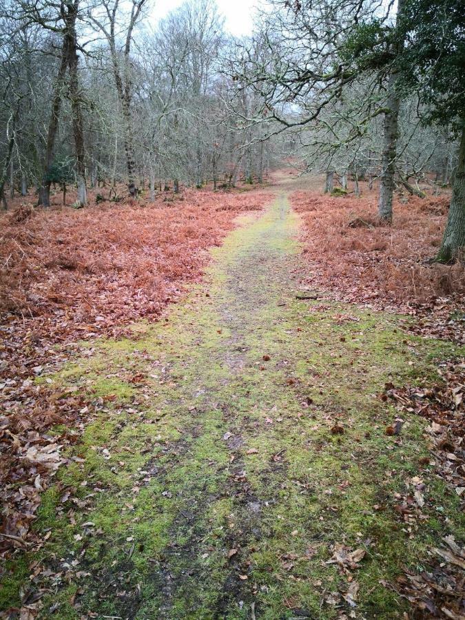 4 Lyndhurst Rd Brockenhurst Exteriör bild
